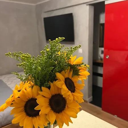 Cozy Tiny In The Heart Of Plaka アテネ